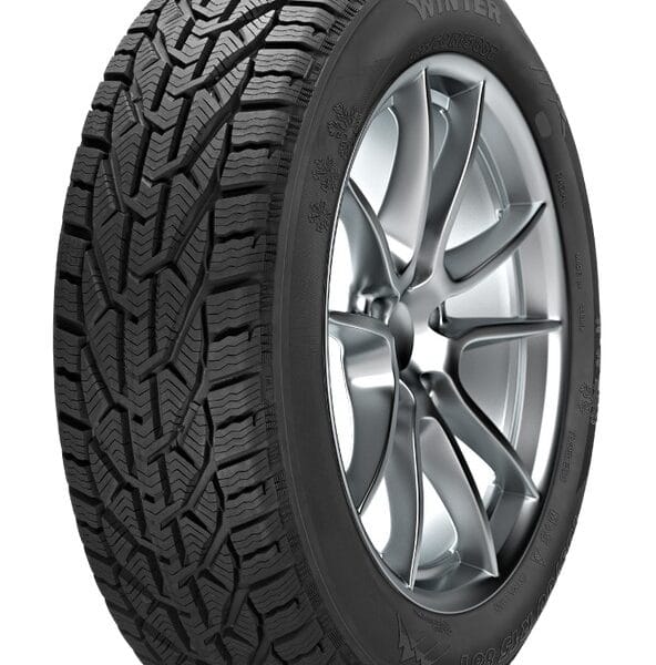 Anvelopa de iarnă TAURUS WINTER 205/55 R16 91H